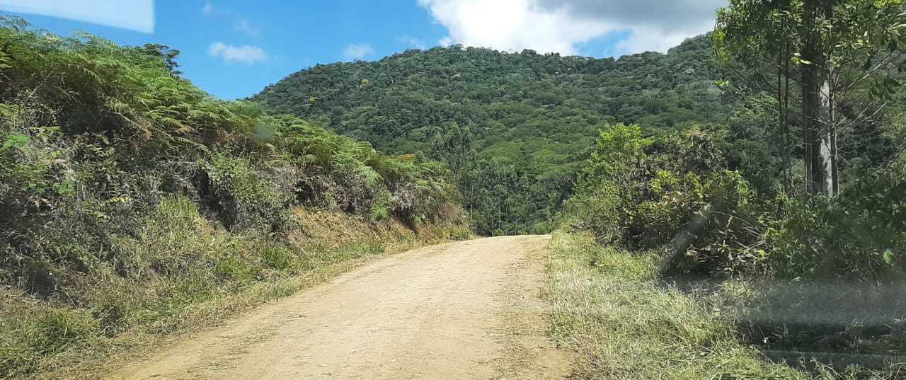 Camacã: A pedido dos vereadores Índio Eventos e Didico Prefeitura faz limpeza da estrada do Novo Itamarati (Biscó)